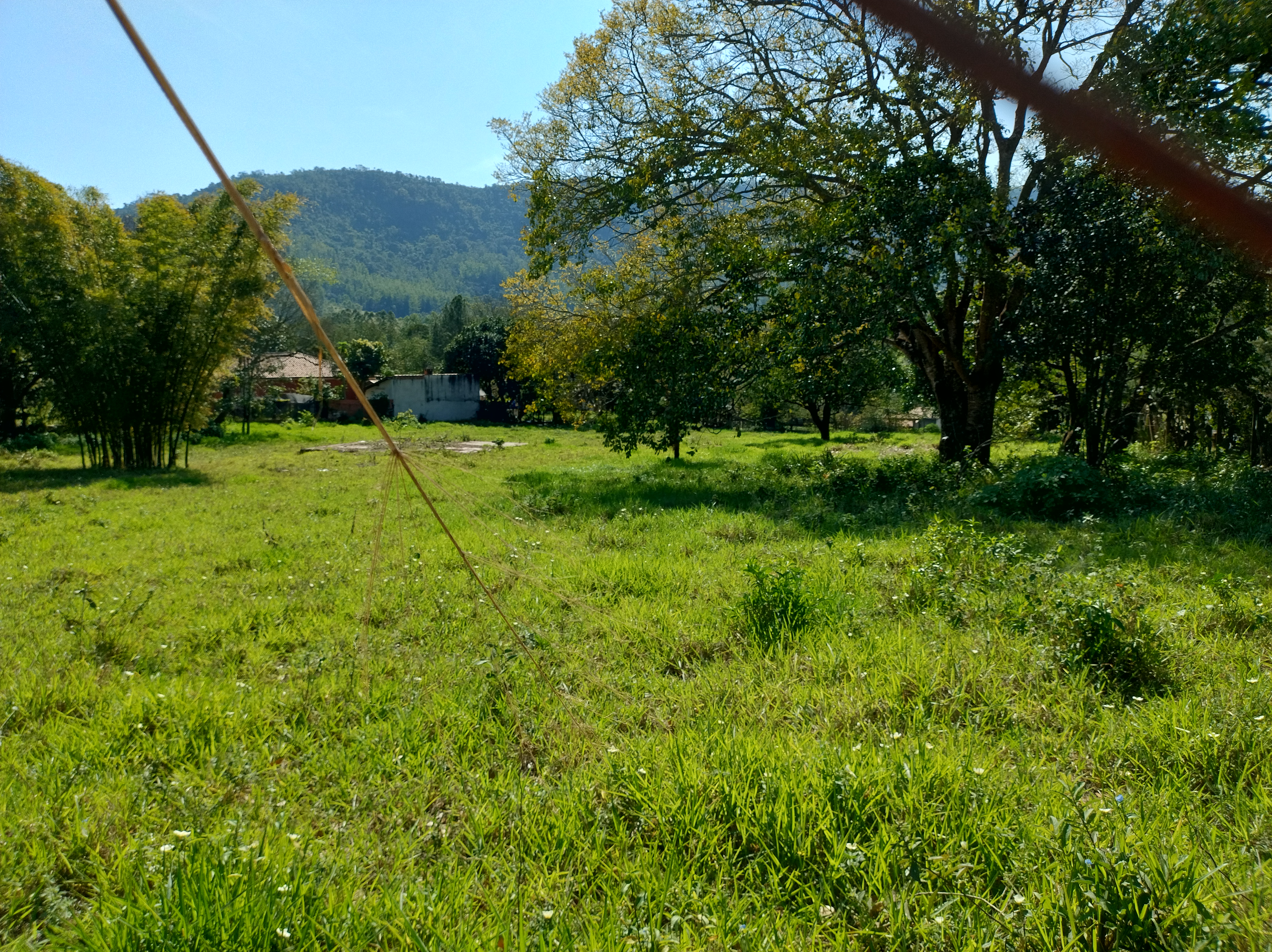Chácara  - foto 4